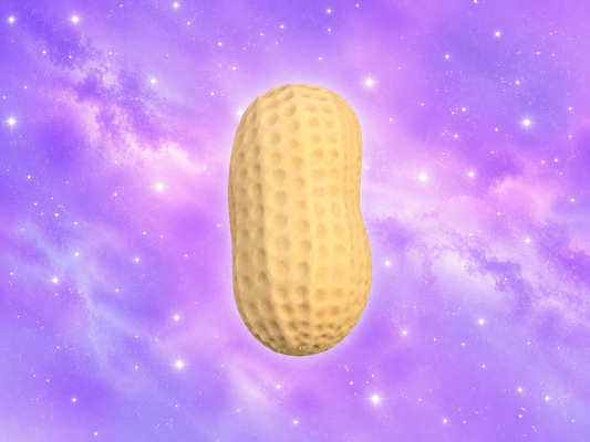 Peanut Squishy